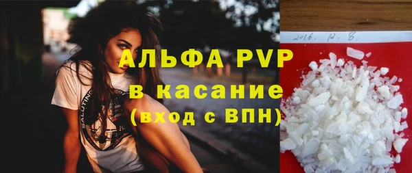 твердый Пересвет