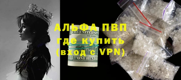 твердый Пересвет