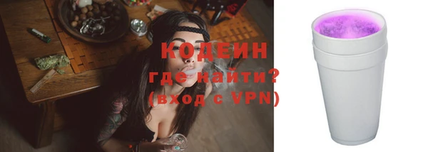 твердый Пересвет