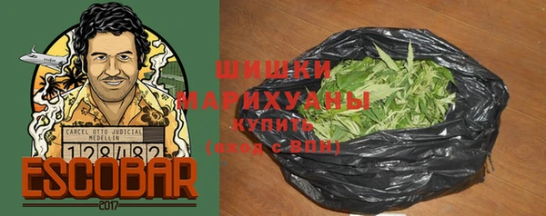 ГАЛЛЮЦИНОГЕННЫЕ ГРИБЫ Пестово