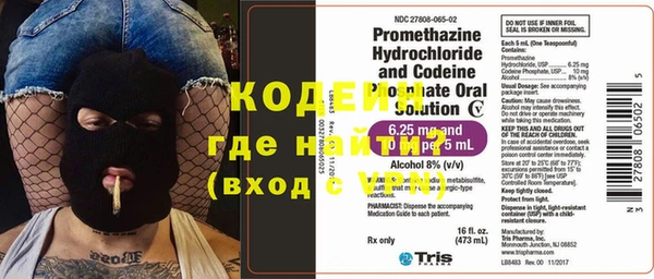 ГАЛЛЮЦИНОГЕННЫЕ ГРИБЫ Пестово