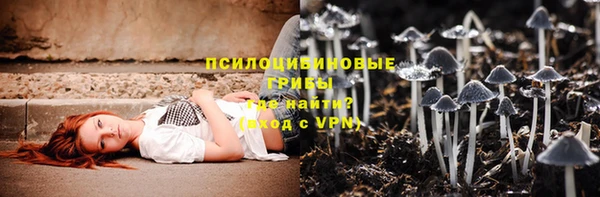 спайс Алзамай