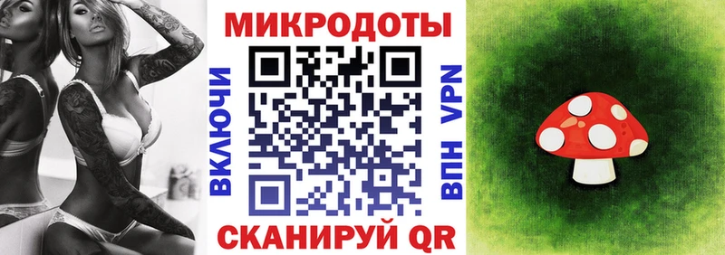 Галлюциногенные грибы Psilocybe  Дзержинский 